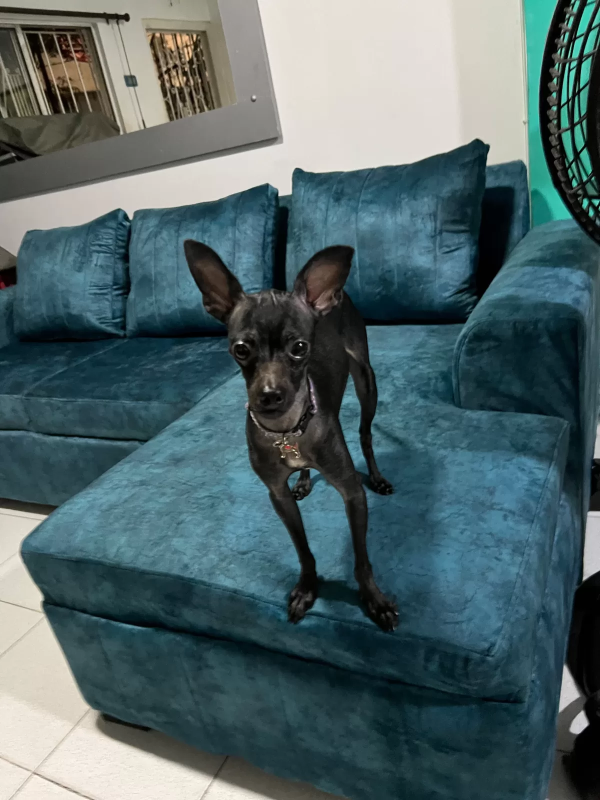 Fotografía de Rufi