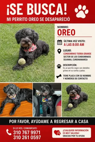 Fotografía de Oreo