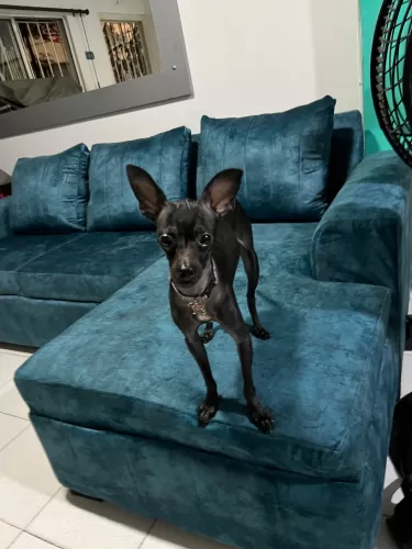Fotografía de Rufi